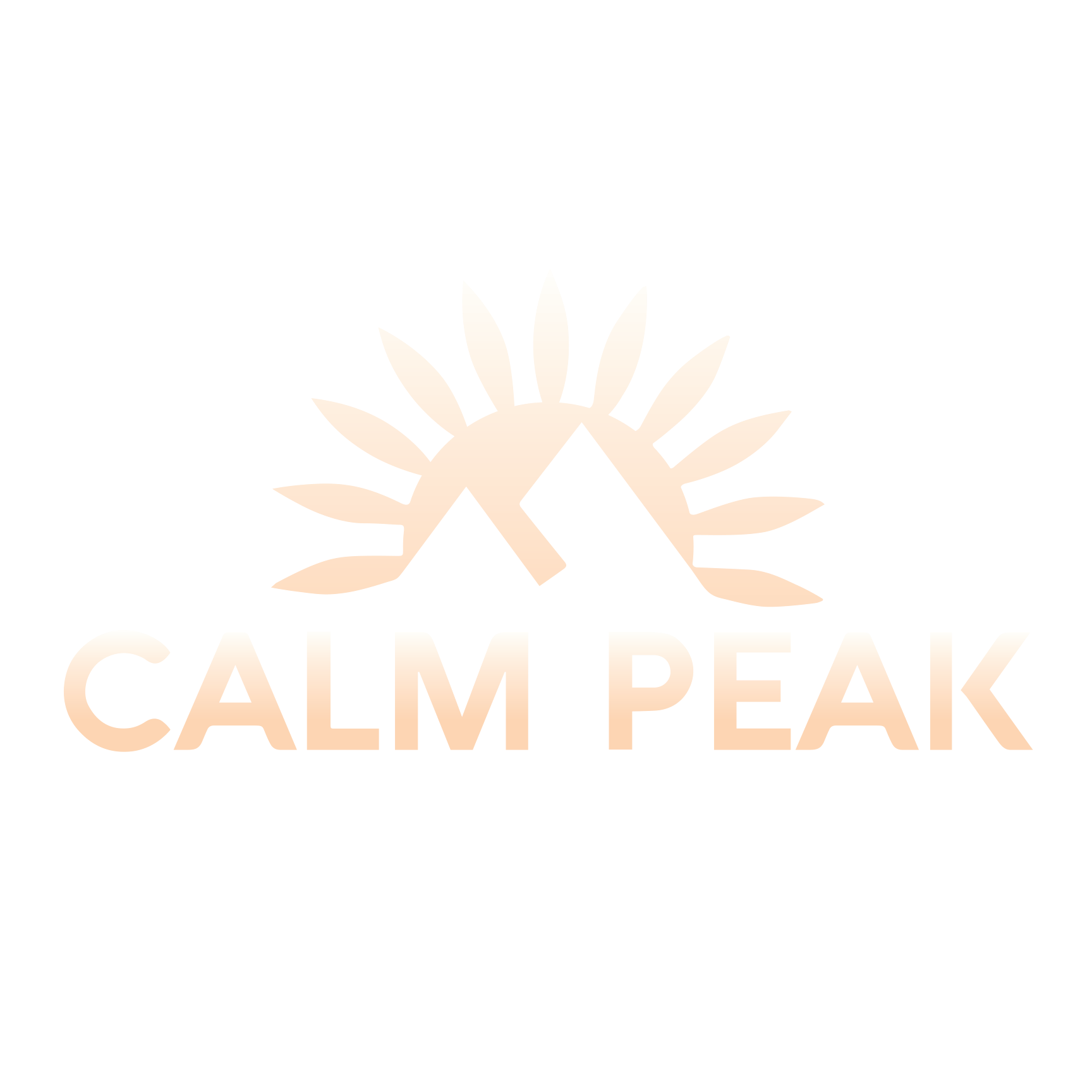 calm peak logo transparent fixed.png